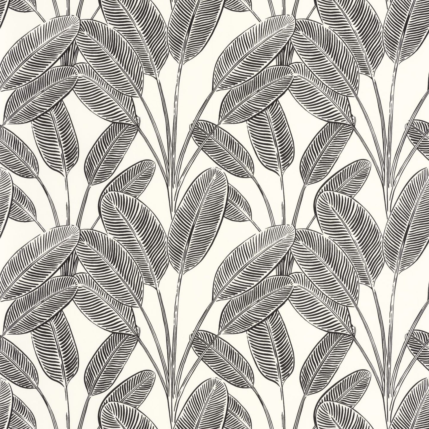 Little Banana Wallpaper - Blanc Noir - Caselio - 104320931 - Premier Wallcovering