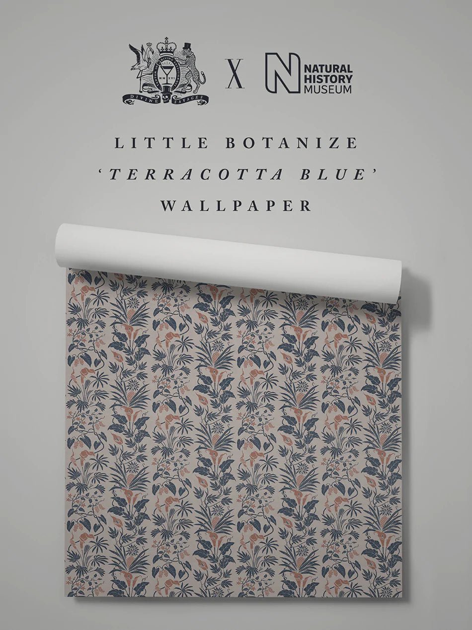 Little Botanize Wallpaper - Terracotta Blue - Divine Savages - DVS137-LIBT-TBLU-WR - Premier Wallcovering