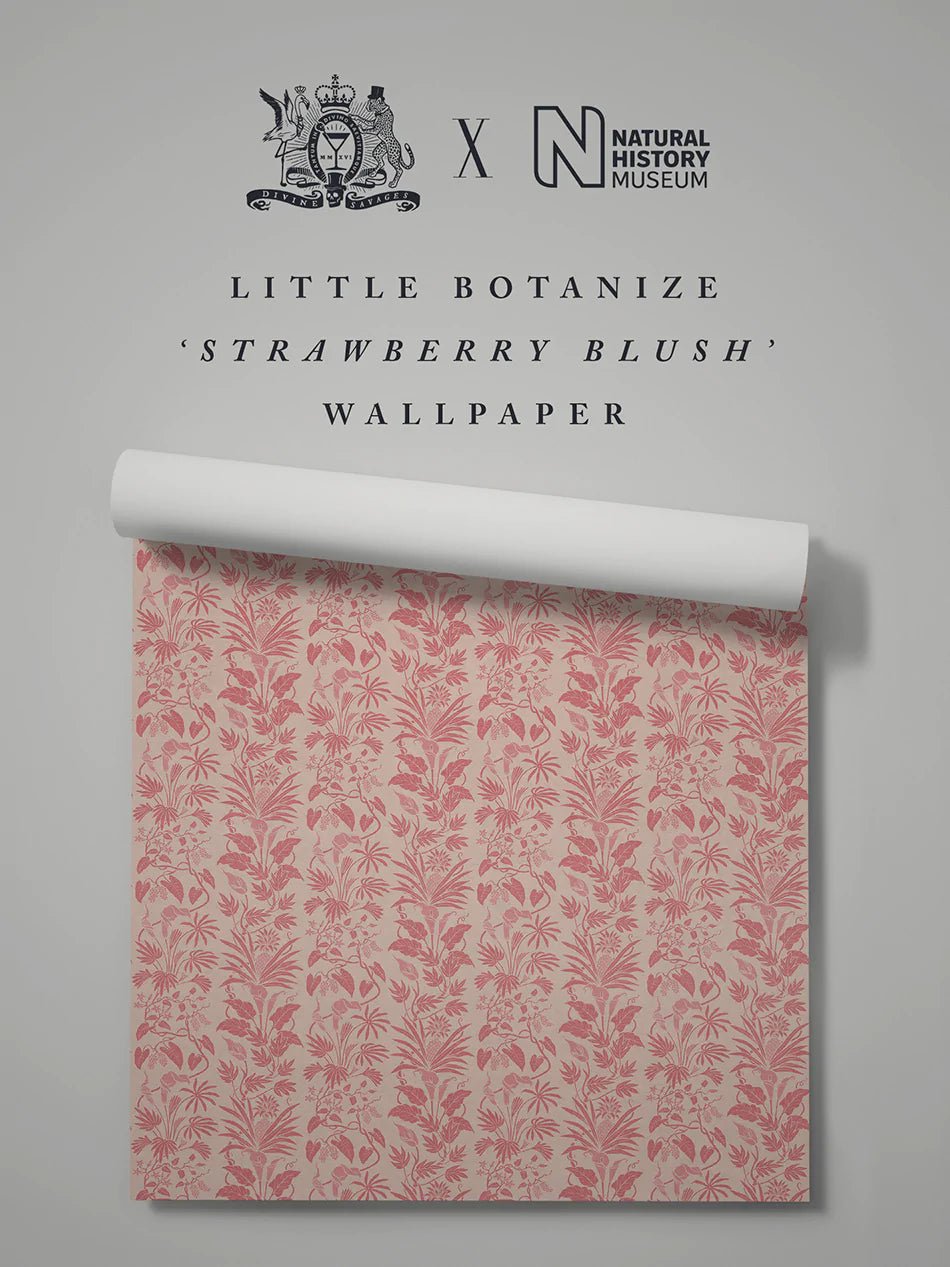 Little Botanize Wallpaper - Strawberry Blush - Divine Savages - DVS135-LIBT-STRW-WR - Premier Wallcovering