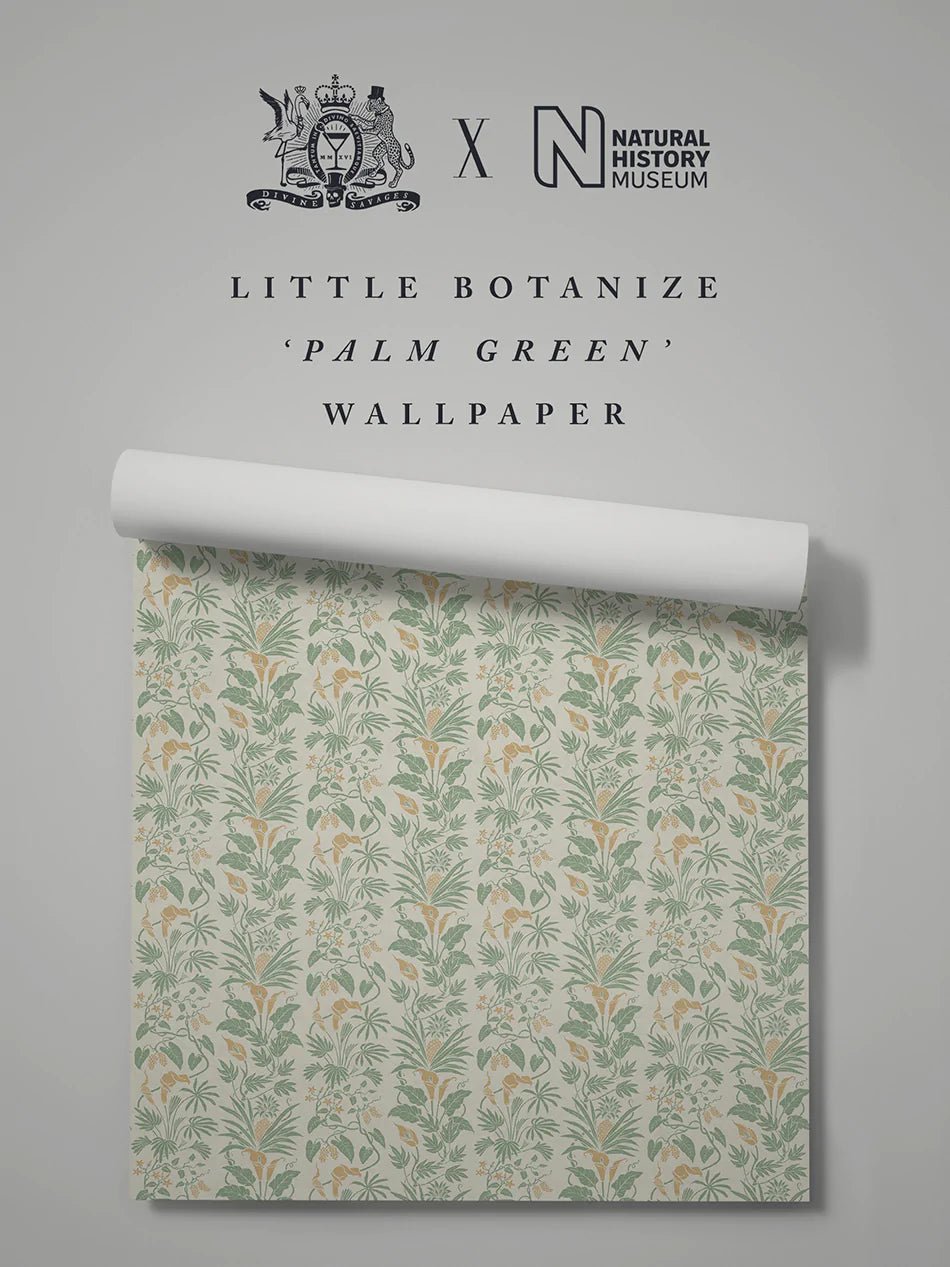 Little Botanize Wallpaper - Palm Green - Divine Savages - DVS136-LIBT-PGRE-WR - Premier Wallcovering