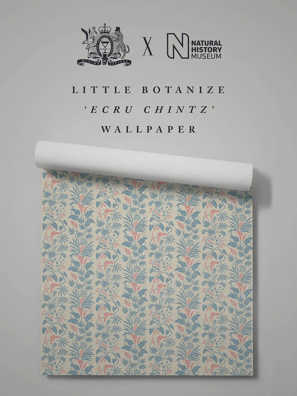 Little Botanize Wallpaper - Ecru Chintz - Divine Savages - DVS134-LIBT-ECRU-WR - Premier Wallcovering