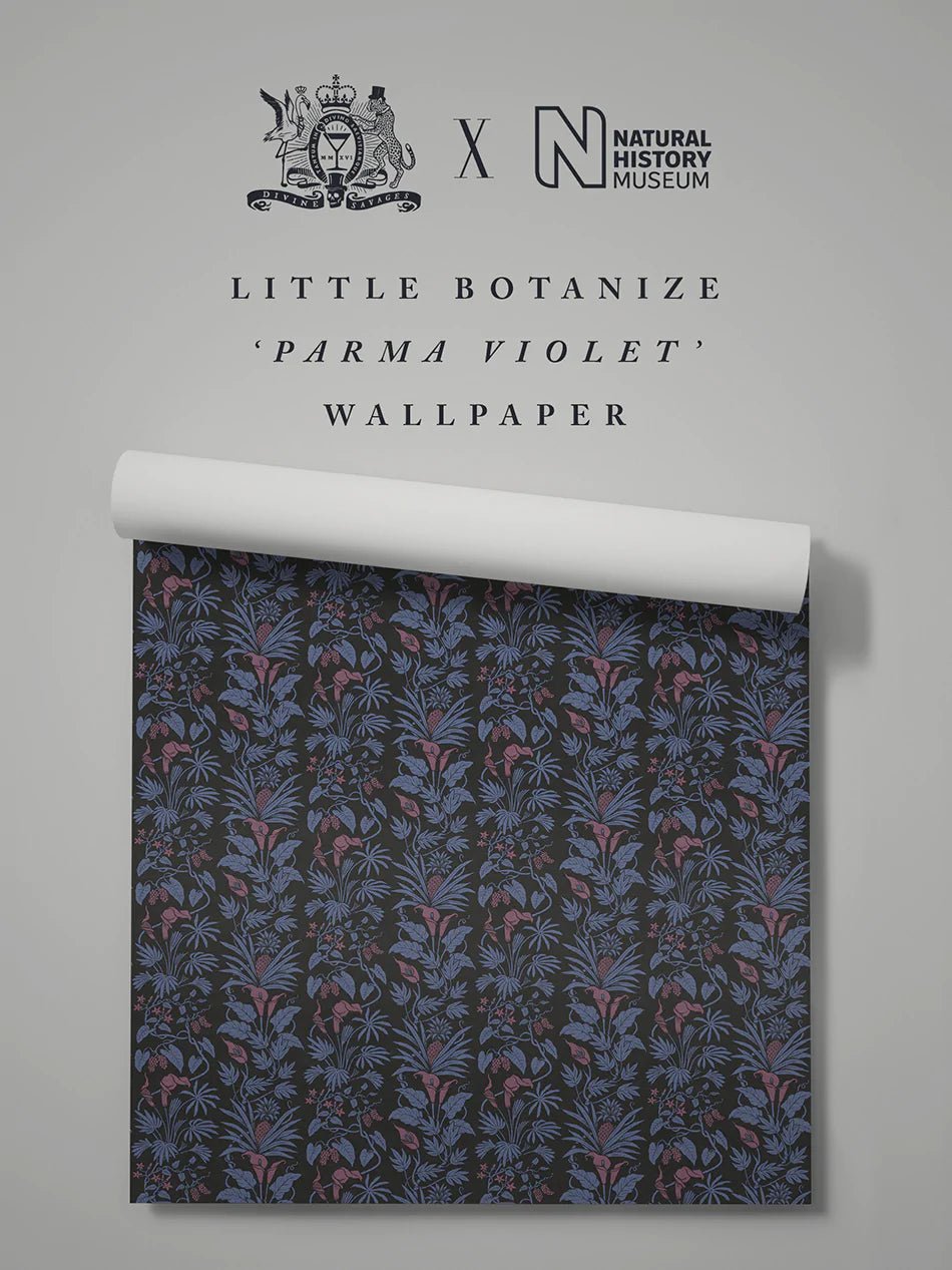 Little Botanize Wallpaper - Parma Violet - Divine Savages - DVS133-LIBT-VIOL-WR - Premier Wallcovering