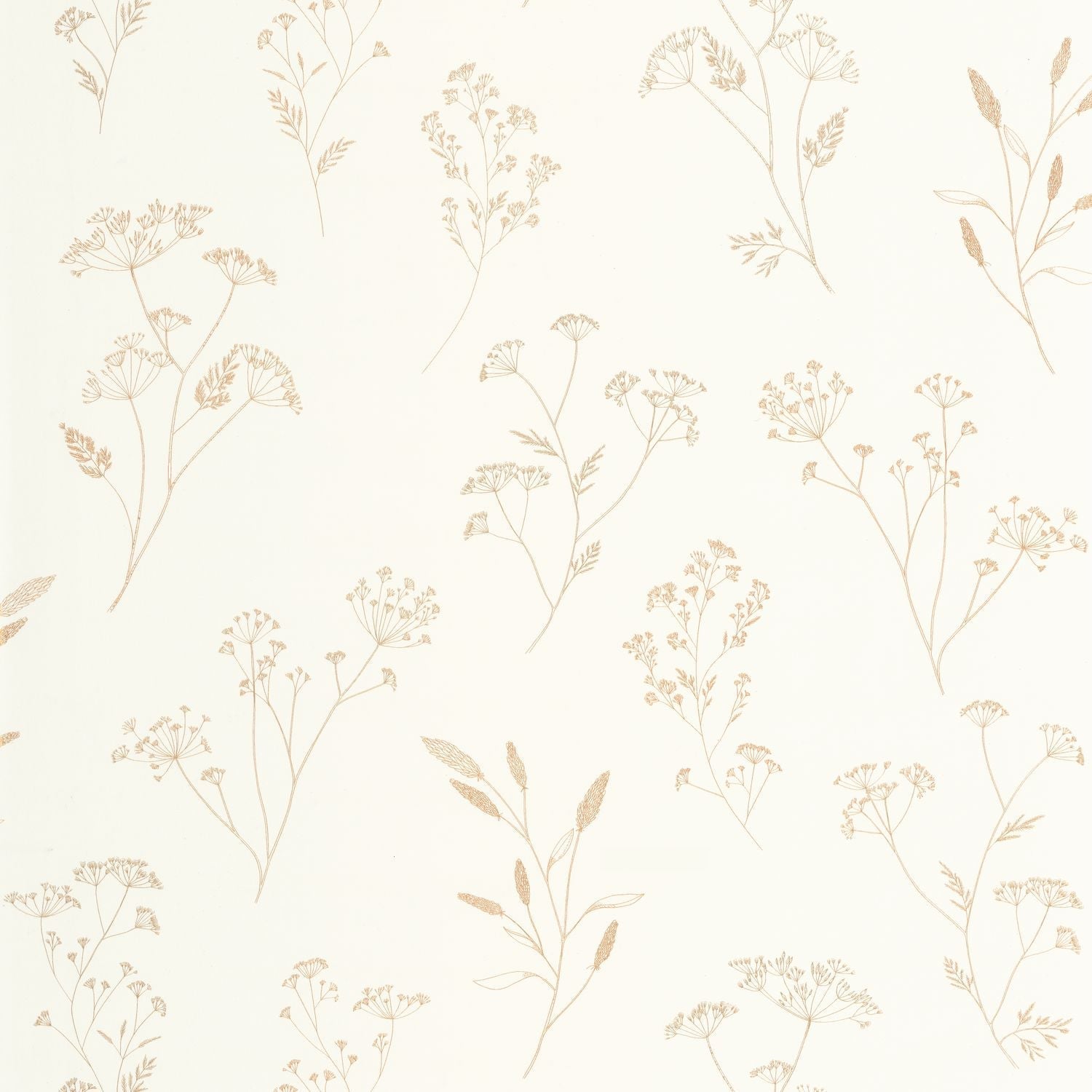 Little Graminea Wallpaper - blanc - Caselio - 106680234 - Premier Wallcovering