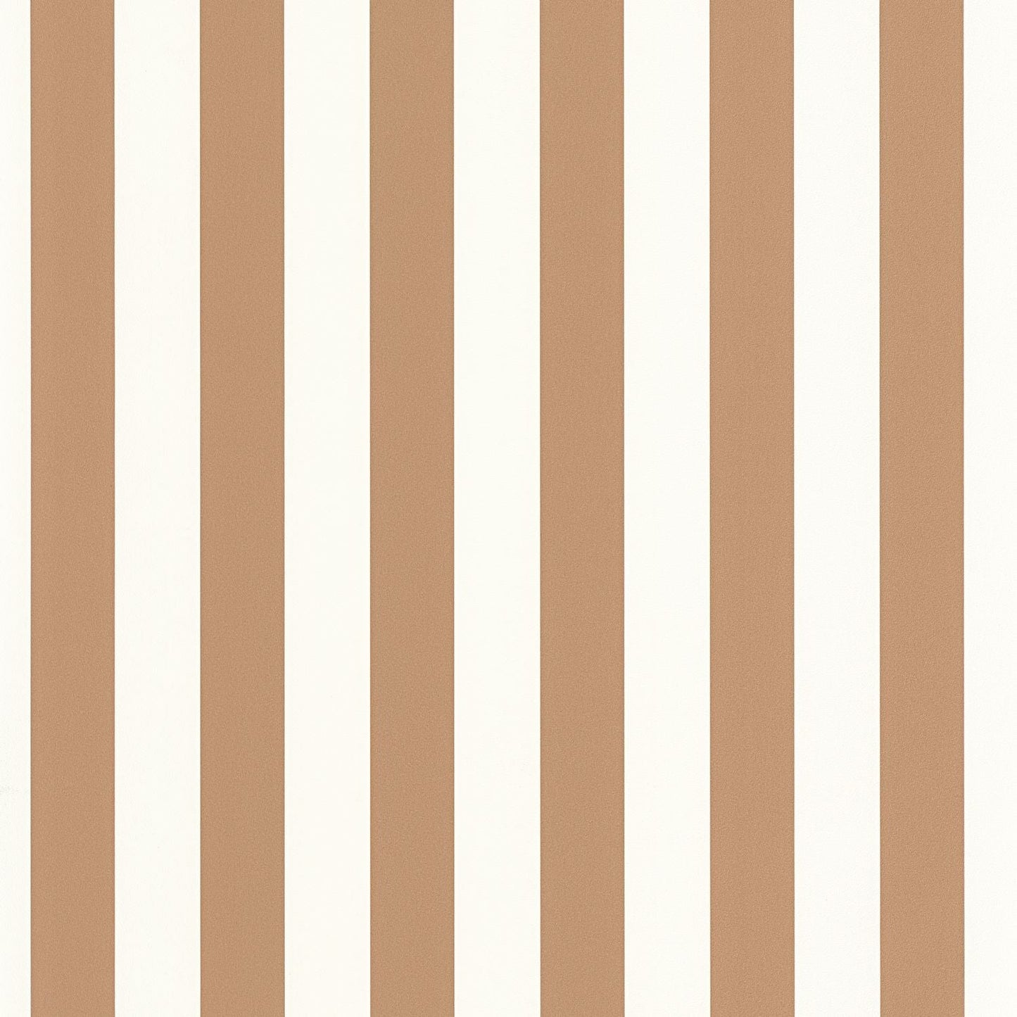 Little Lines Wallpaper - Camel - Caselio - 104032228 - Premier Wallcovering