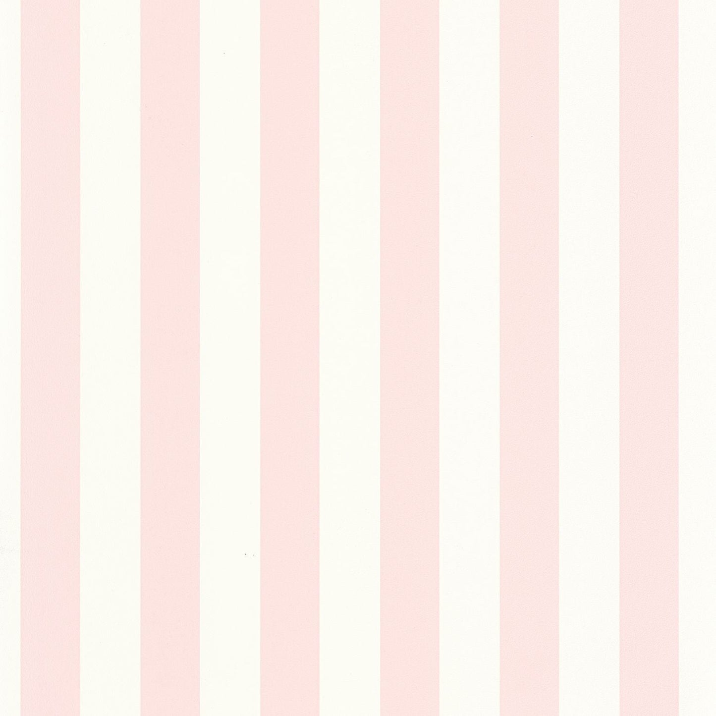 Little Lines Wallpaper - Rose Pale - Caselio - 104034000 - Premier Wallcovering