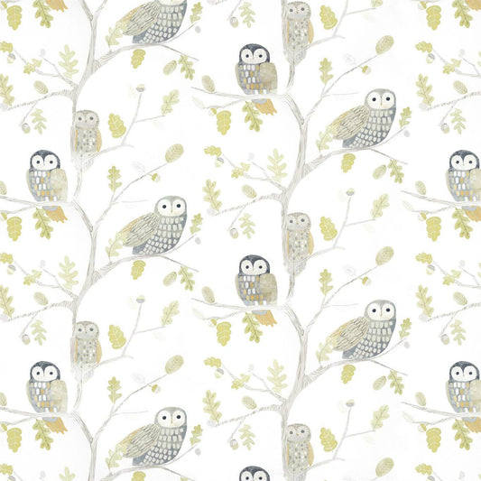Little Owls Wallpaper - Kiwi - Harlequin - HLTF112627 - Premier Wallcovering