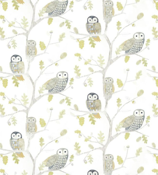 Little Owls Wallpaper - Kiwi - HLTF112627 - Harlequin - Premier Wallcovering