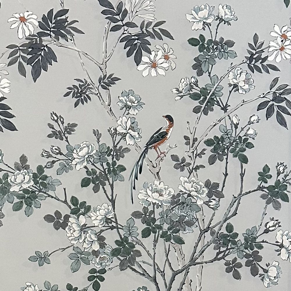 Lone bird Wallpaper - Grey - Borderline - 5078E - Premier Wallcovering