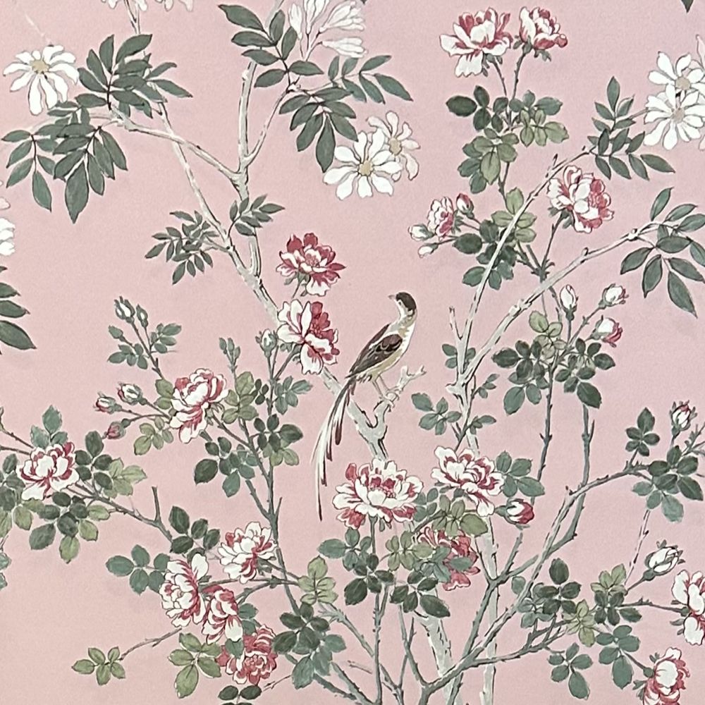 Lone bird Wallpaper - Pink - Borderline - 5078C - Premier Wallcovering
