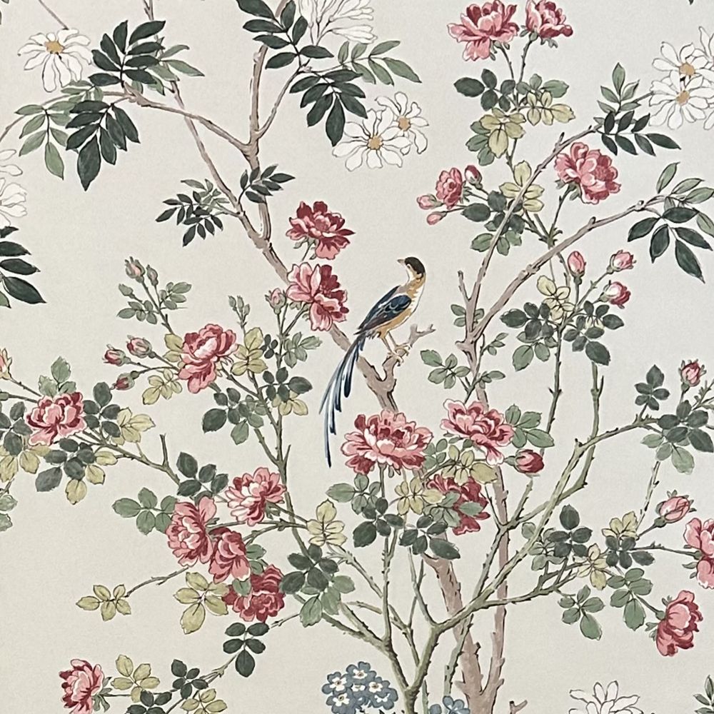 Lone bird Wallpaper - Multi - Borderline - 5078D - Premier Wallcovering