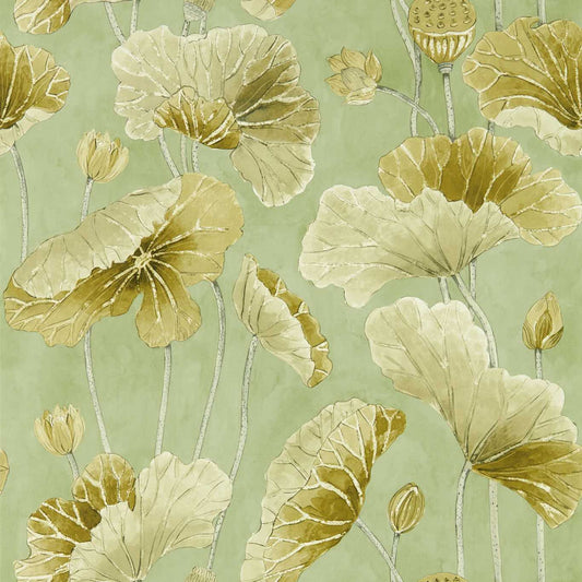 Lotus Leaf Wallpaper - Oriental Green/ Olive - DWAW217126 - Sanderson - Premier Wallcovering