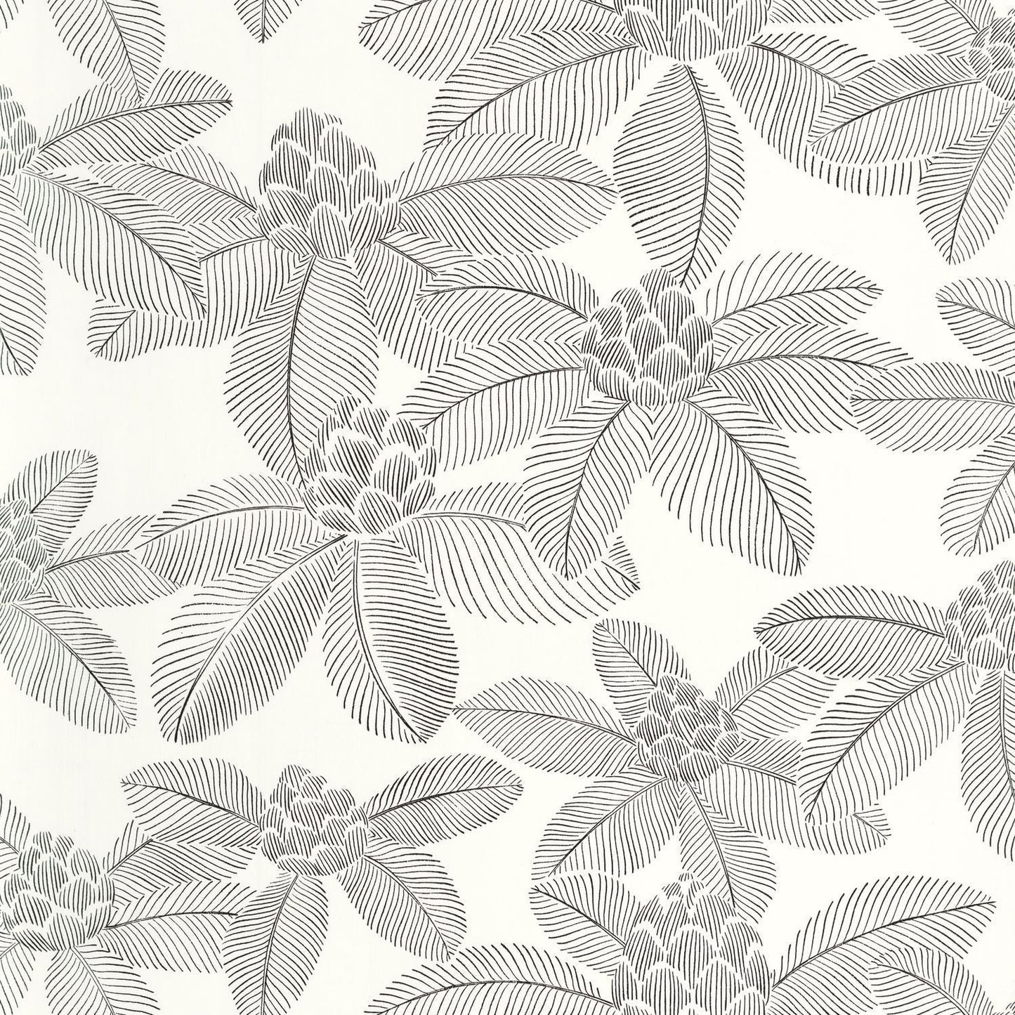 Lotus Wallpaper - Noir blanc - Caselio - 106650956 - Premier Wallcovering