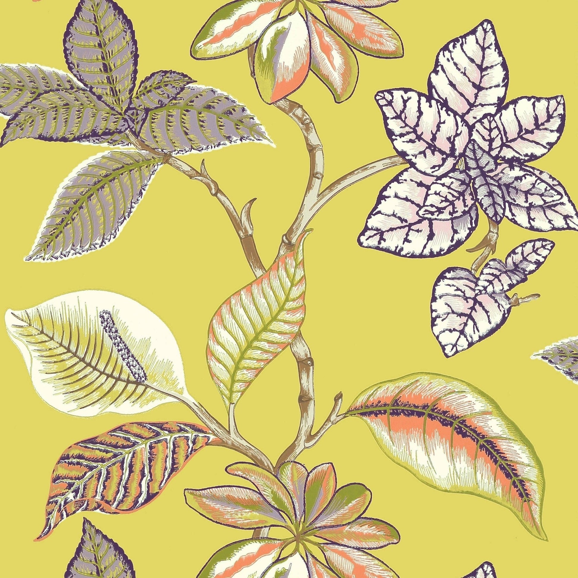 Lucala Wallpaper - Citron - Thibaut - T5752 - Premier Wallcovering