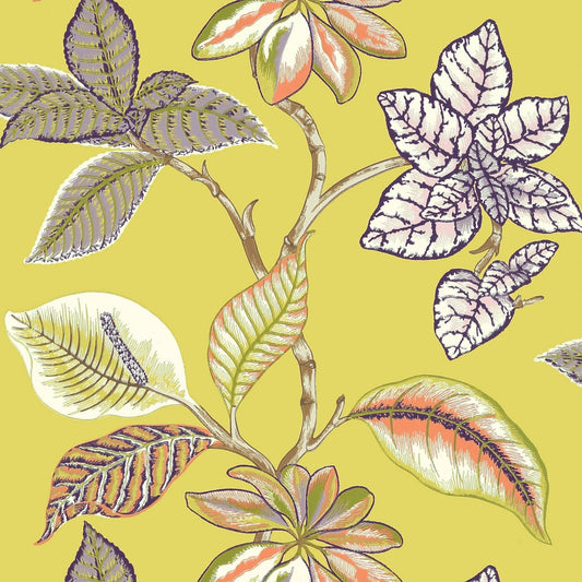 Lucala Wallpaper - Citron - Thibaut - T5752 - Premier Wallcovering
