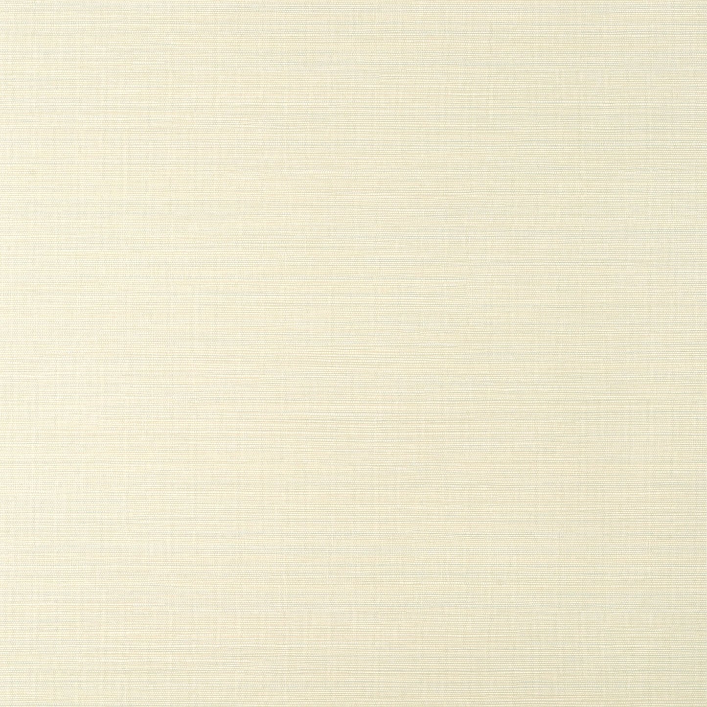 Luta Sisal Wallpaper - Off White & Mist - Thibaut - T14523 - Premier Wallcovering