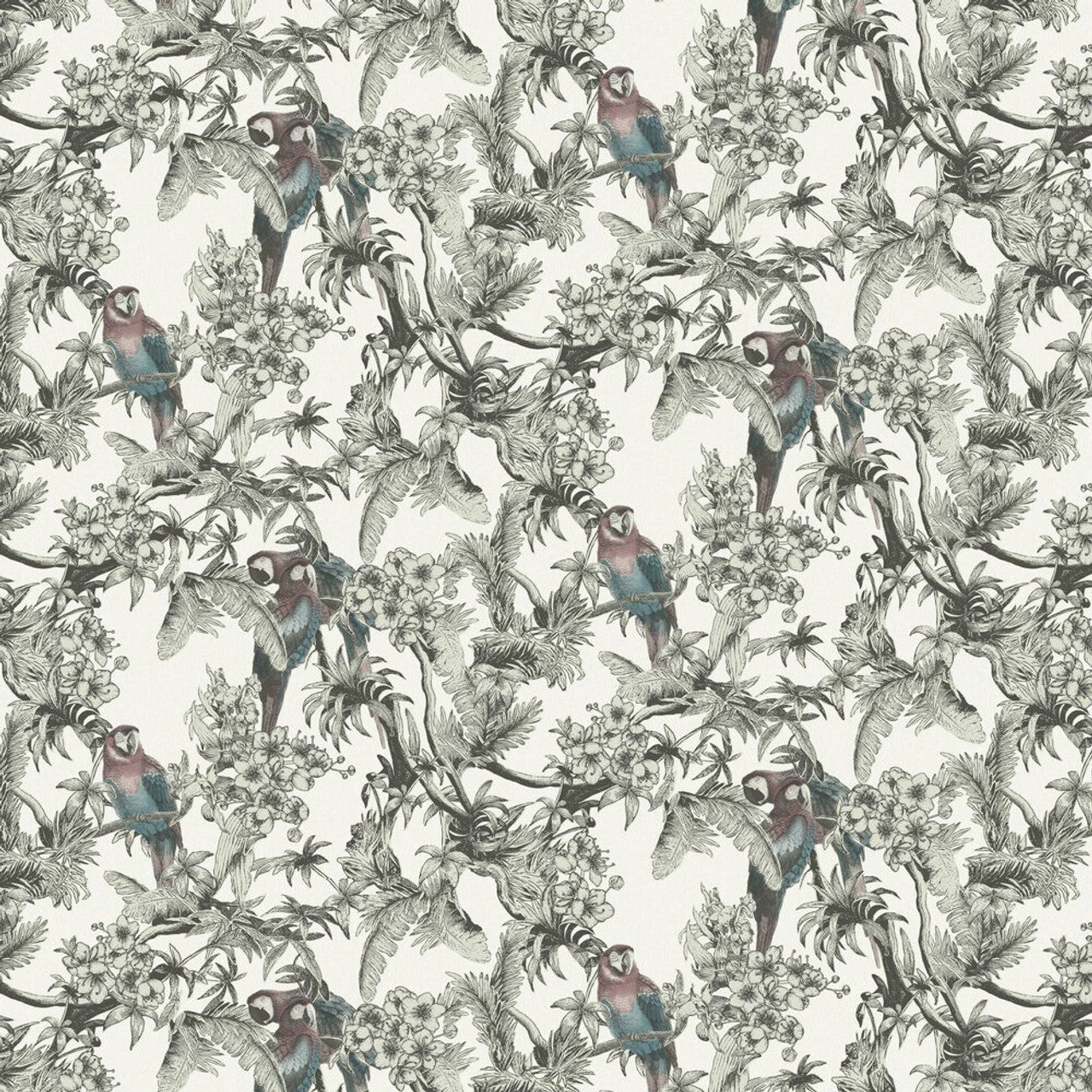 Macaw Eden Wallpaper - White - Ted Baker - 13085 - Premier Wallcovering