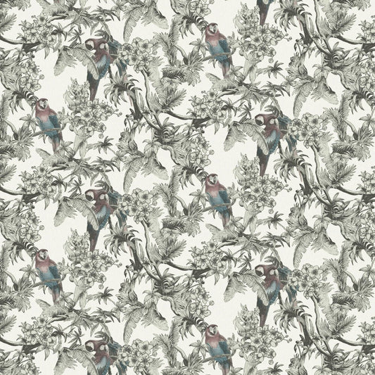 Macaw Eden Wallpaper - White - Ted Baker - 13085 - Premier Wallcovering