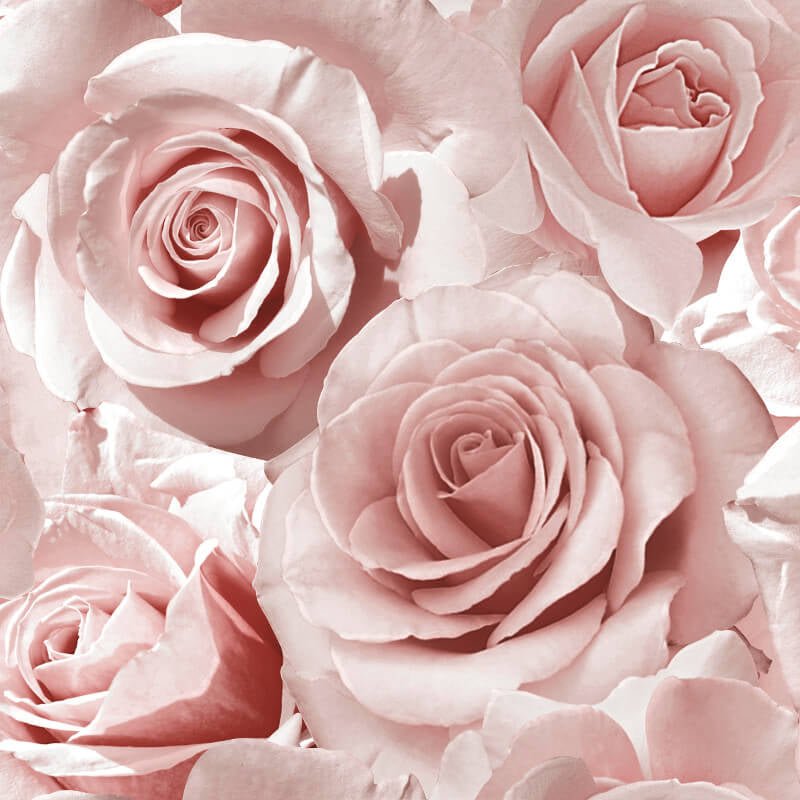 Madison Rose Floral Glitter Wallpaper - Raspberry - Muriva - 139521 - Premier Wallcovering