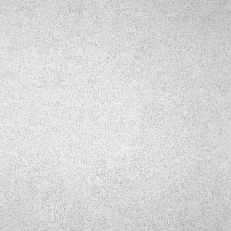 Mako Wallpaper - Silver - Osborne & Little - W6303-03 - Premier Wallcovering