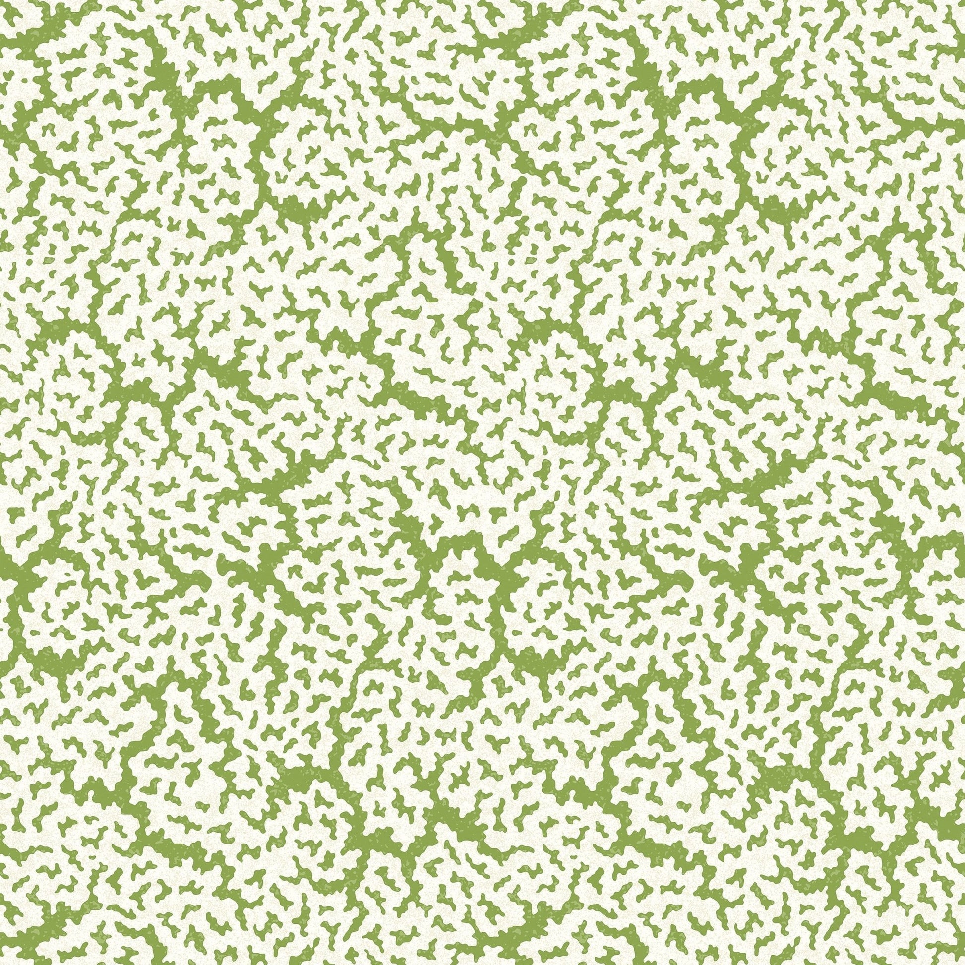Maldives Wallpaper - Green - Thibaut - T42041 - Premier Wallcovering