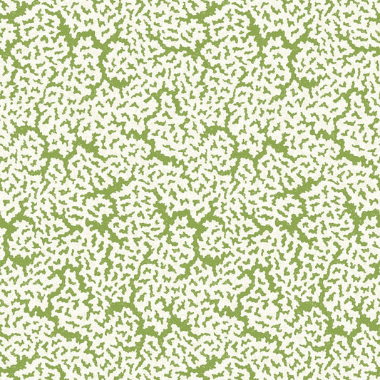 Maldives Wallpaper - Green - Thibaut - T42041 - Premier Wallcovering