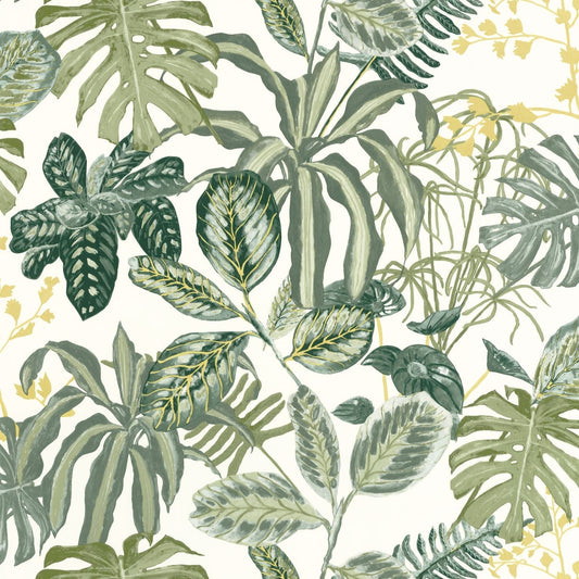 Manaus Wallpaper - Vert Mousse - Caselio - 103897067 - Premier Wallcovering