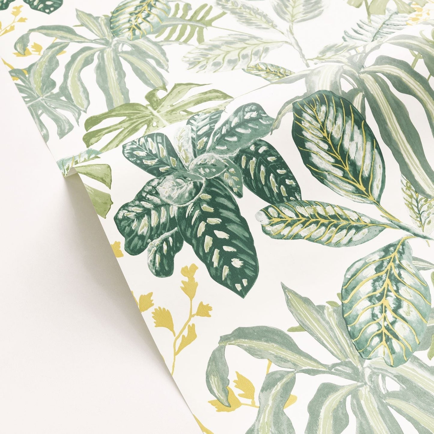 Manaus Wallpaper - Vert Mousse - Caselio - 103897067 - Premier Wallcovering