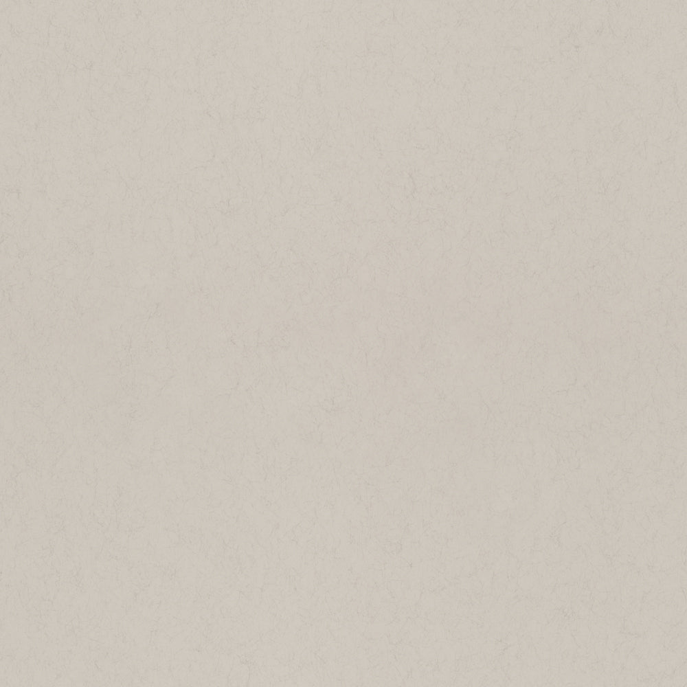 Mandel Wallpaper - Light Gray - Midbec - 77021 - Premier Wallcovering