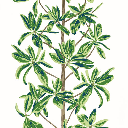 Mangrove Tree Wallpaper - Green & White - Thibaut - T45035 - Premier Wallcovering
