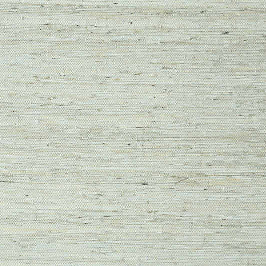 Maranta Arrowroot Wallpaper - Aqua - Thibaut - T85003 - Premier Wallcovering