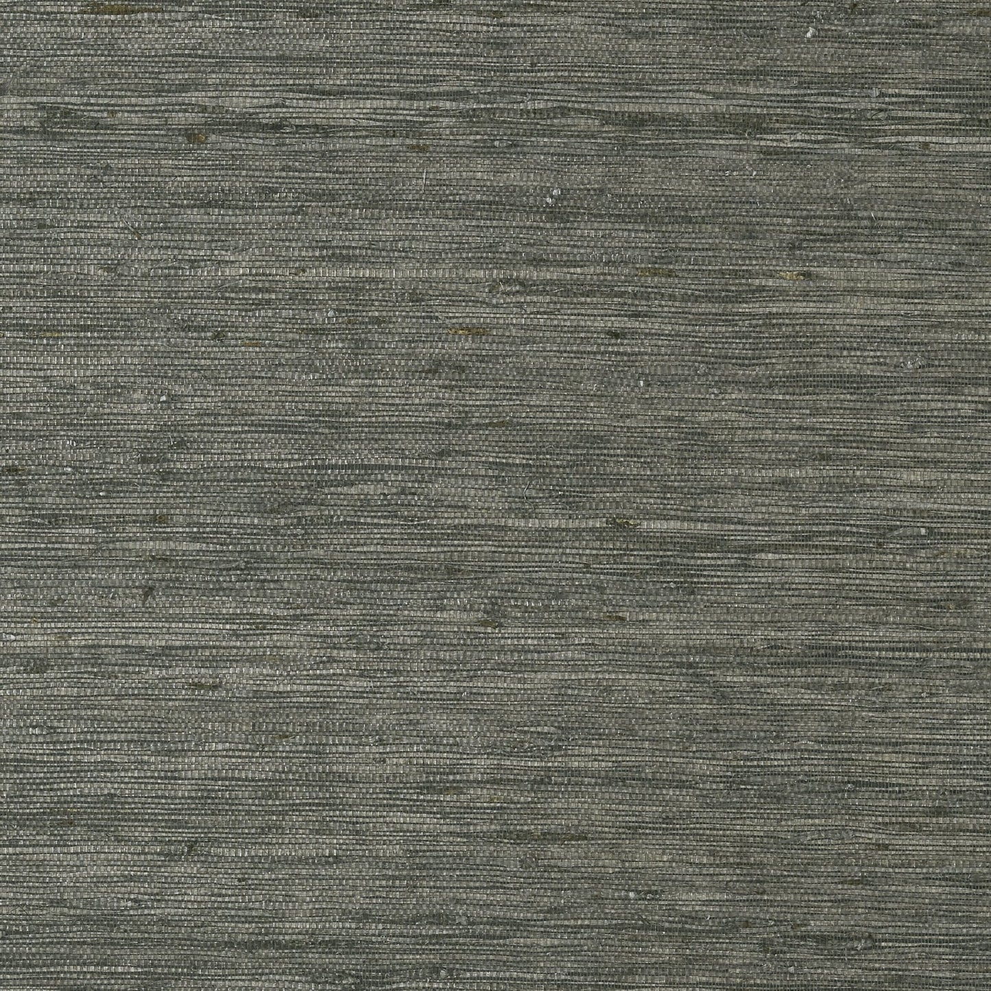 Maranta Arrowroot Wallpaper - Black - Thibaut - T85009 - Premier Wallcovering