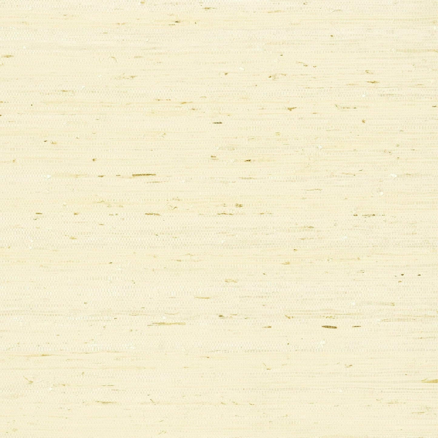 Maranta Arrowroot Wallpaper - Cream - Thibaut - T85008 - Premier Wallcovering