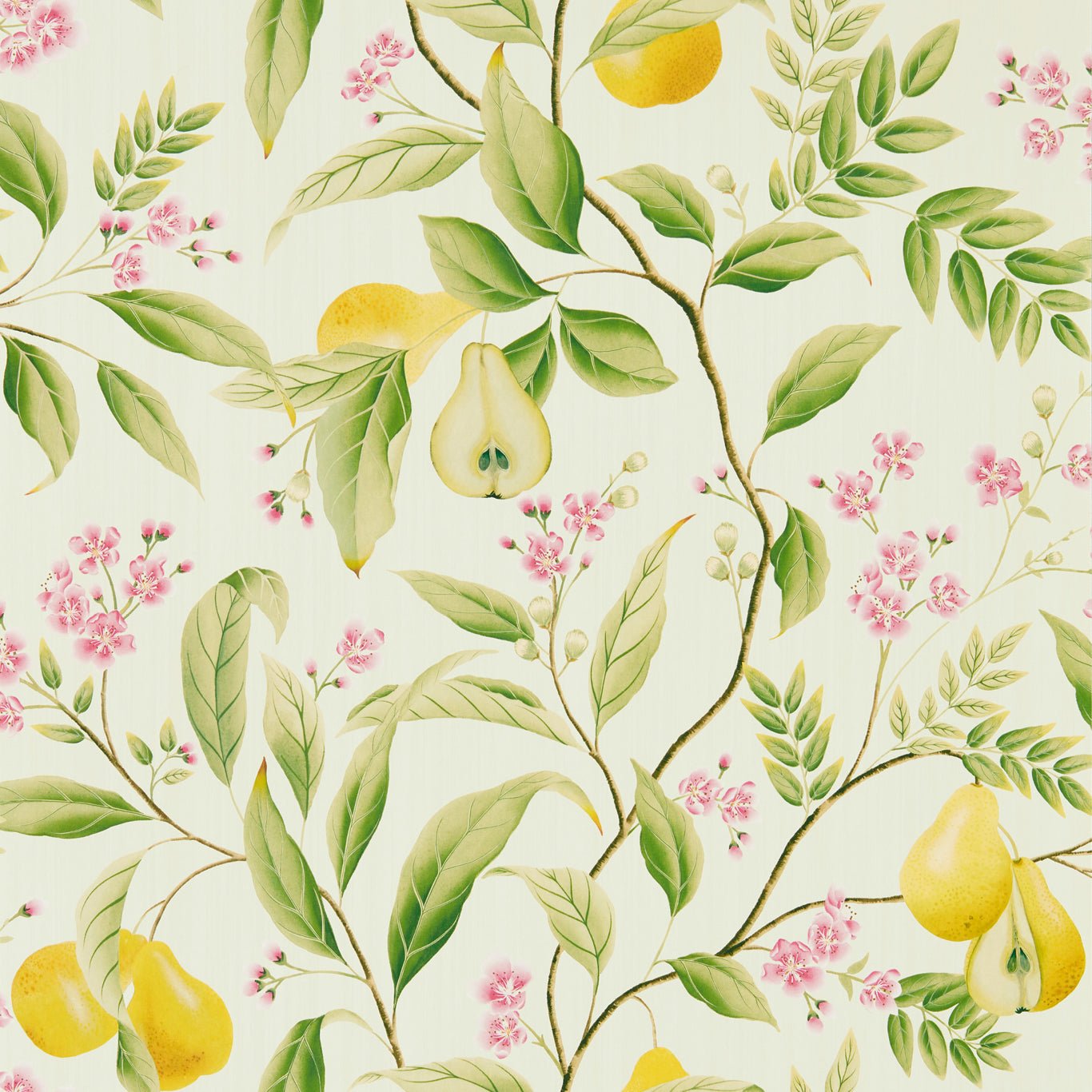 Marie Wallpaper - Fig leaf/Honey/Blossom - Harlequin - HDHW112909 - Premier Wallcovering