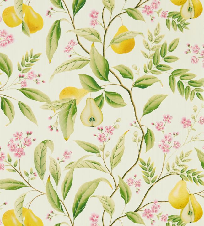 Marie Wallpaper - Fig leaf/Honey/Blossom - HDHW112909 - Harlequin - Premier Wallcovering
