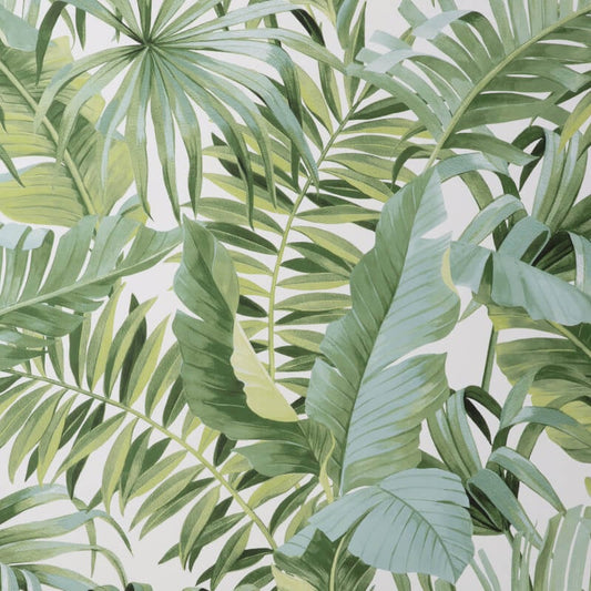 Maui Tropical Wallpaper - Green - Fine Décor - FD42850 - Premier Wallcovering