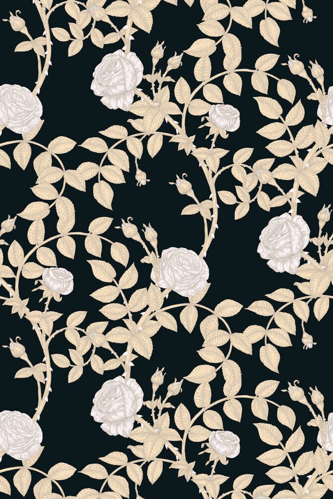 McGegan Rose Wallpaper - Neutrals on Black - Timorous Beasties - HS/MCG/SMM/03 - Premier Wallcovering