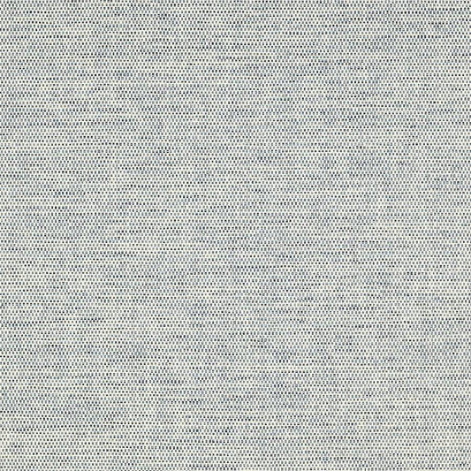 Mecox Wallpaper - Blue - Colefax & Fowler - 20283 - 02 - Premier Wallcovering