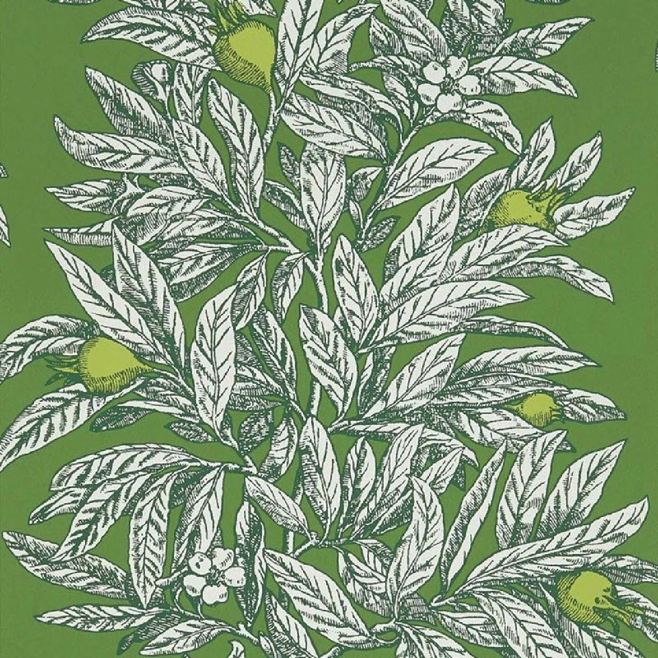 Medlar Wallpaper - Green/Lime - Osborne & Little - W7458-05 - Premier Wallcovering