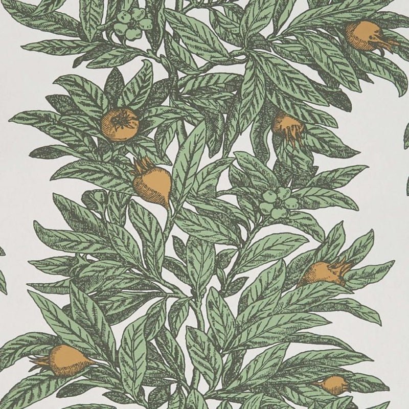 Medlar Wallpaper - Green - Osborne & Little - W7458-04 - Premier Wallcovering