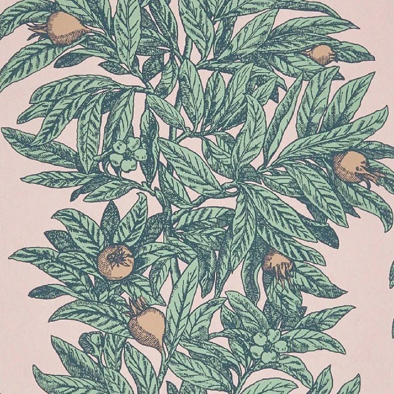 Medlar Wallpaper - Blush/Mint - Osborne & Little - W7458-01 - Premier Wallcovering