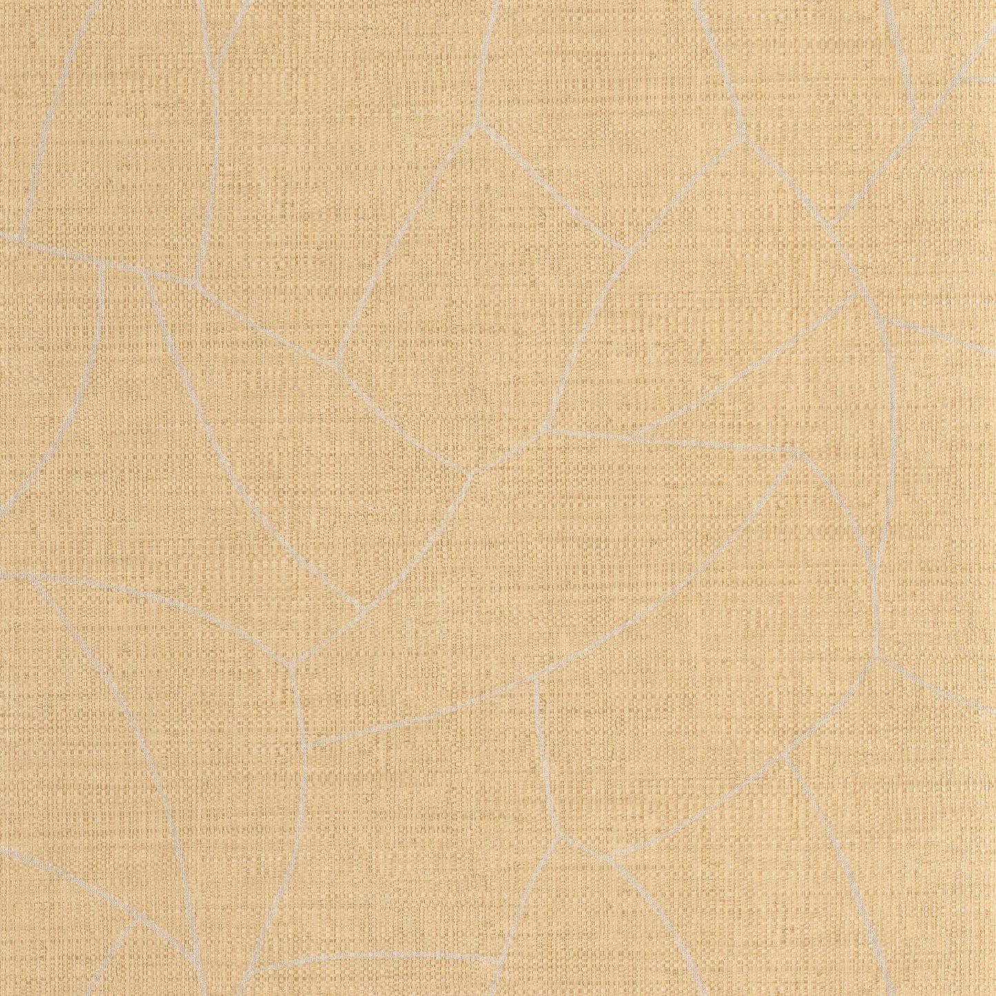 Melody Wallpaper - Beige - Caselio - 107022034 - Premier Wallcovering