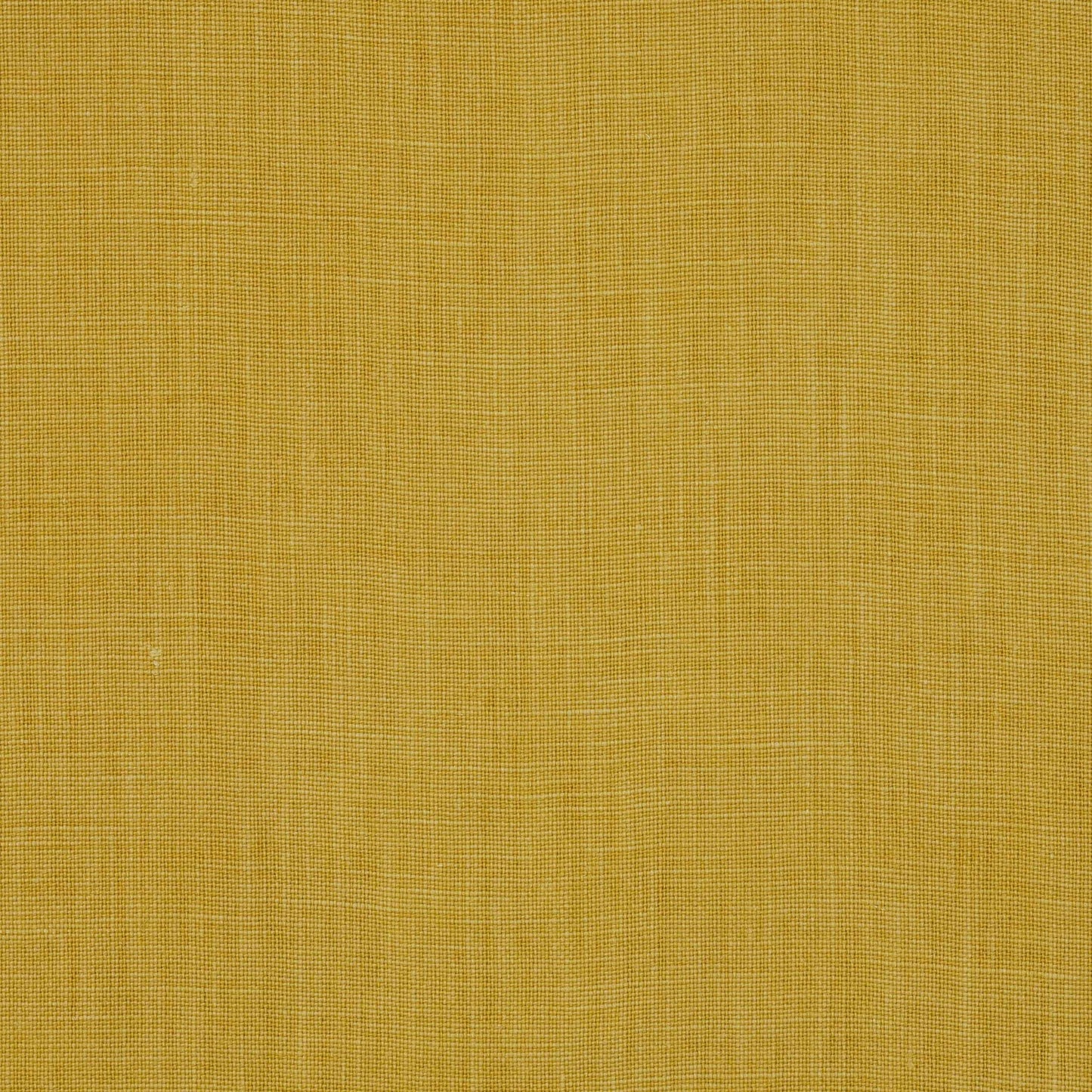 Mia Fabric - Citron - Manuel Canovas - M4083-42 - Premier Wallcovering