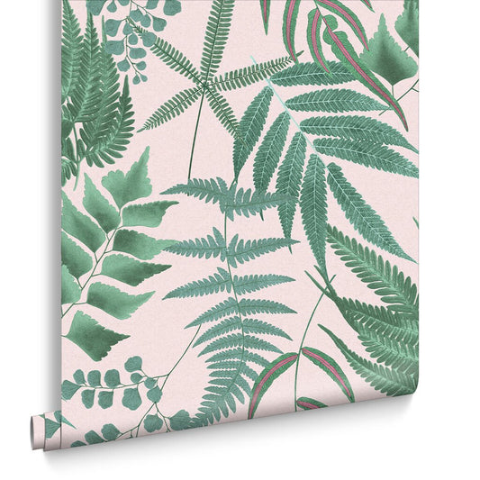 Midsummer Fern Wallpaper - Blush - Graham & Brown - 107878 - Premier Wallcovering