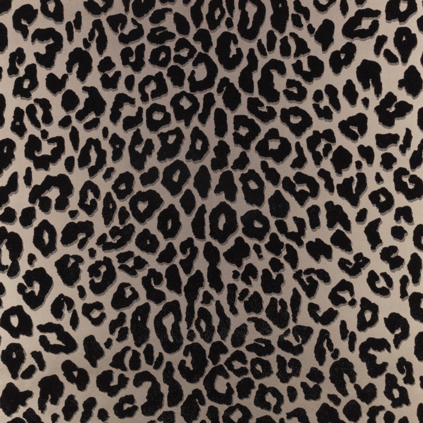 Mimi Wallpaper - Kohl - Romo - Temperley London - W454/02 - Premier Wallcovering