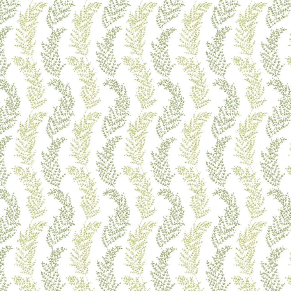 Mimosa Trail Wallpaper - Olive - Ohpopsi - JRD50111W - Premier Wallcovering