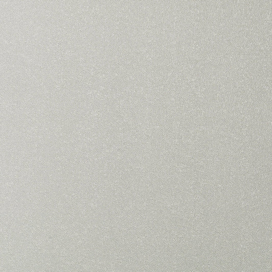 Minerals Wallpaper - Silver - Thibaut - T14149 - Premier Wallcovering