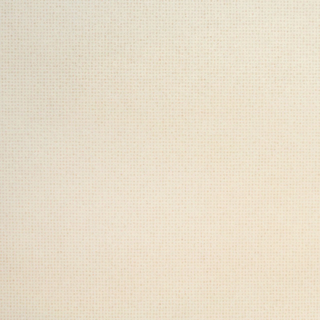 Mini Dots Great Kids Wallpaper - Pearl - Hohenberger - 26804 - Premier Wallcovering