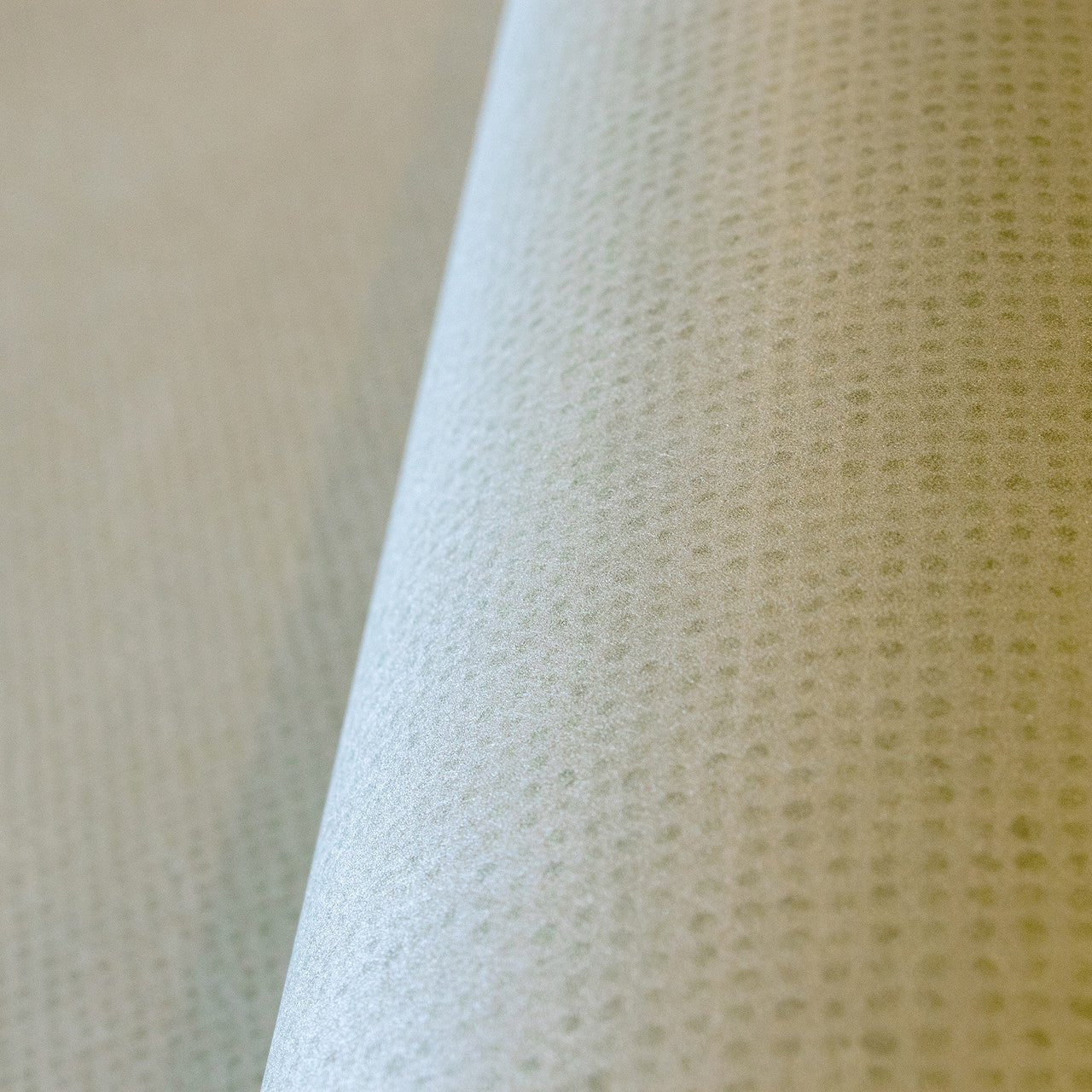 Mini Dots Great Kids Wallpaper - Sage - Hohenberger - 26811 - Premier Wallcovering