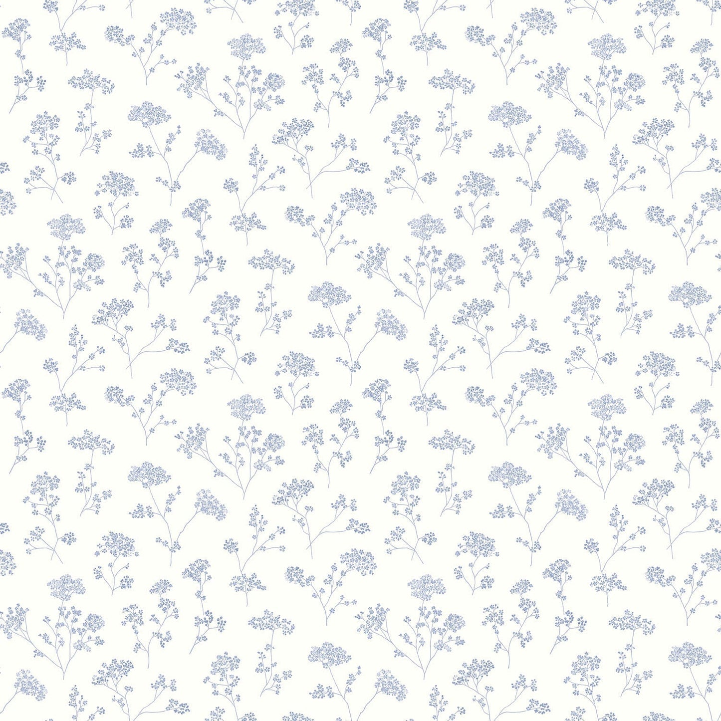 Miniatures 2 Parsley Flowers Wallpaper - Blue - Galerie - G67871 - Premier Wallcovering