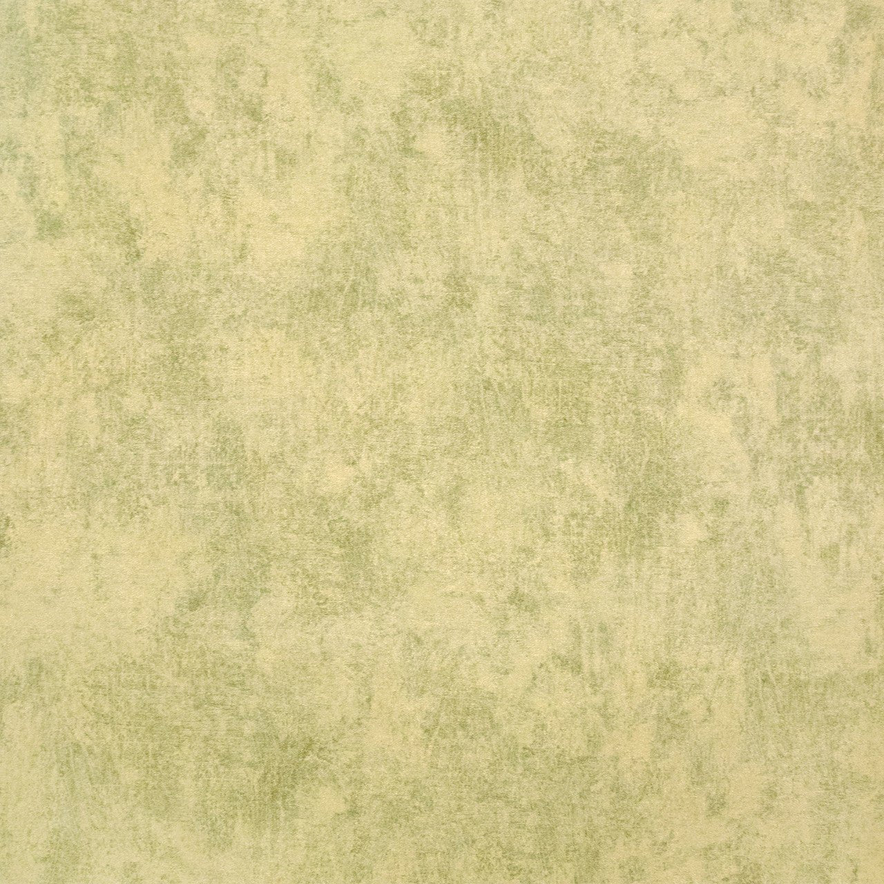 Monstera Plain Julie Feels Home Wallpaper - Lime - Hohenberger - 26944 - Premier Wallcovering